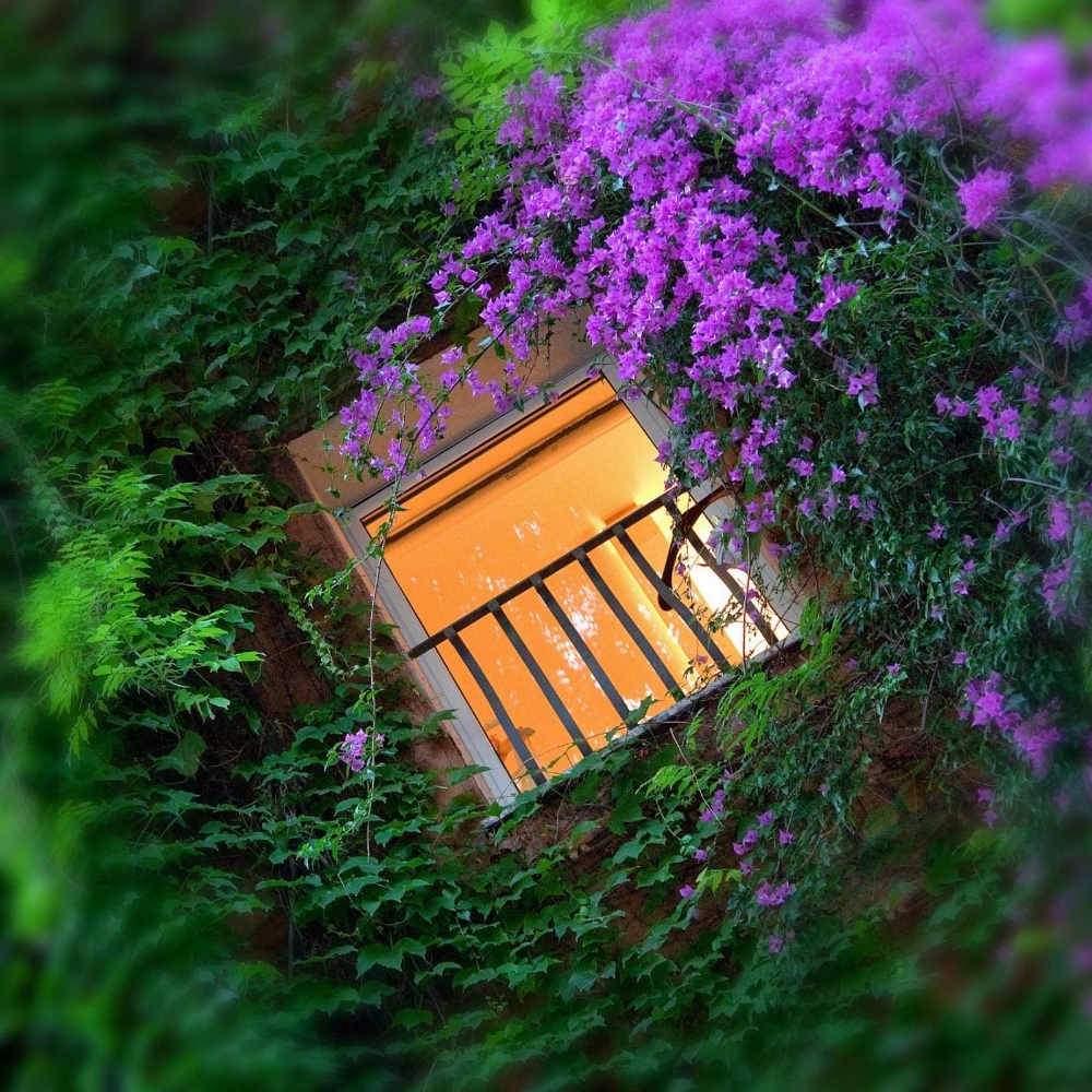 Bio Hotel Raphael - Relais & Châteaux Main image