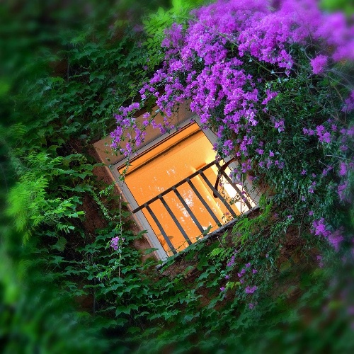 Bio Hotel Raphael - Relais & Châteaux image 2